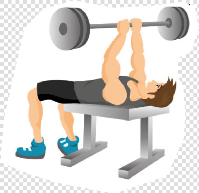 Gym Fitness Full Workout Page   Weight Training  HD Png DownloadTransparent PNG