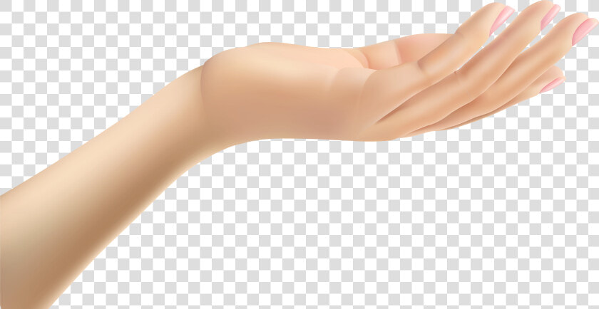 Thumb Hand Arm Clip Art   Clip Art Hands Transparent  HD Png DownloadTransparent PNG