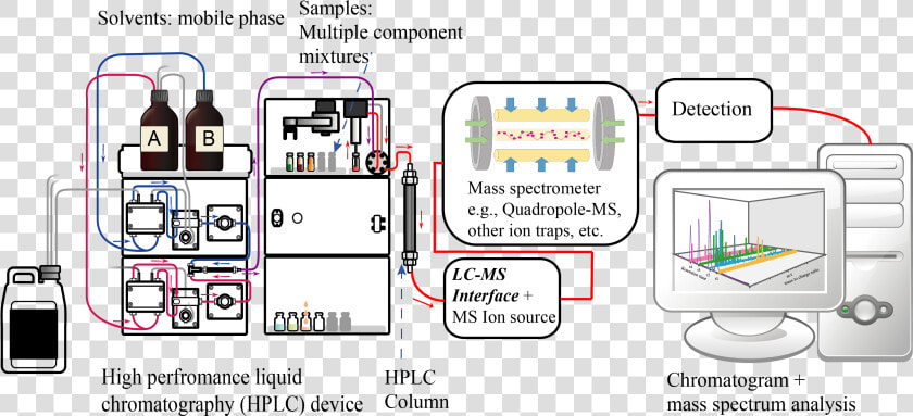 Liquid Chromatography Tandem Mass Spectrometry Diagram   Liquid Chromatography Mass Spectrometer  HD Png DownloadTransparent PNG