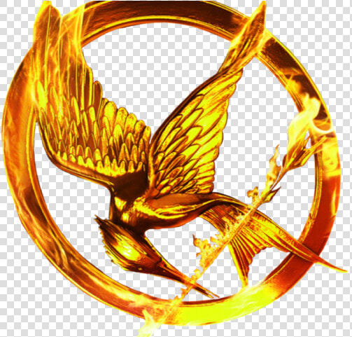 Homefront Video Game Clipart Png Transparent   Hunger Games Mockingjay Png  Png DownloadTransparent PNG