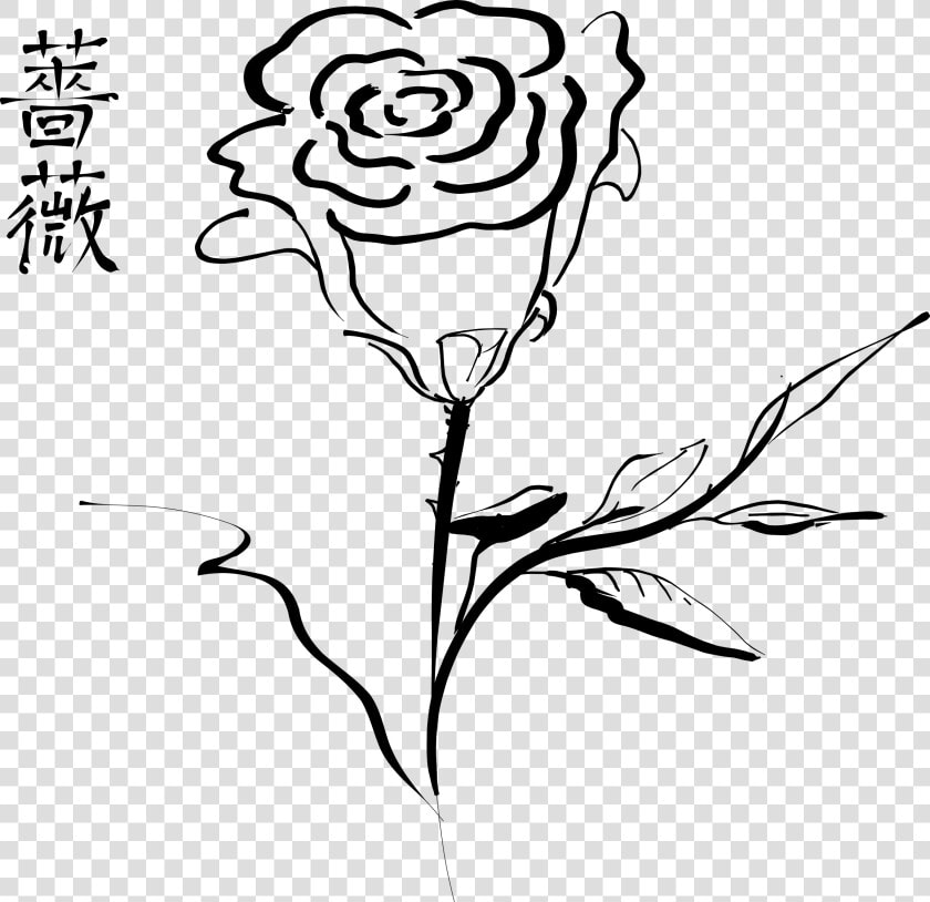 Rose Drawing Clip Art   Calligraphic Lines In Art  HD Png DownloadTransparent PNG