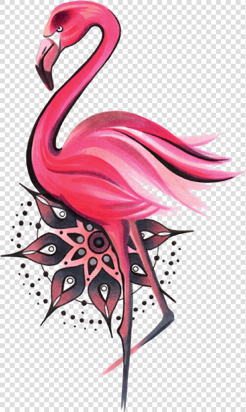 Временная Тату Фламинго И Мандала   Flamingo Mandala  HD Png DownloadTransparent PNG