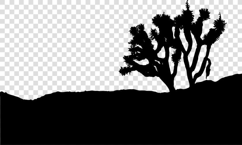 Joshua Tree Silhouette Icons Png   Joshua Tree Silhouette Vector  Transparent PngTransparent PNG