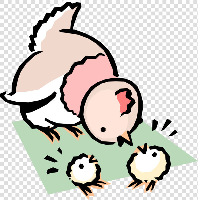 Vector Illustration Of Cartoon Mother Chicken With   Mis Pollitos  HD Png DownloadTransparent PNG