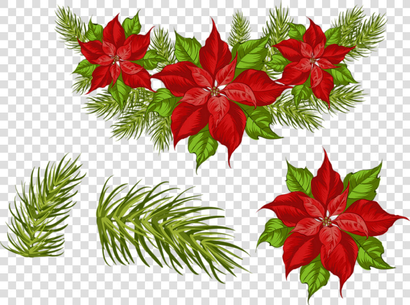 ❄️ Tube Noël  Poinsettia Png   Poinsettia  Transparent PngTransparent PNG