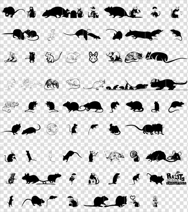 Rat Dingbats  HD Png DownloadTransparent PNG