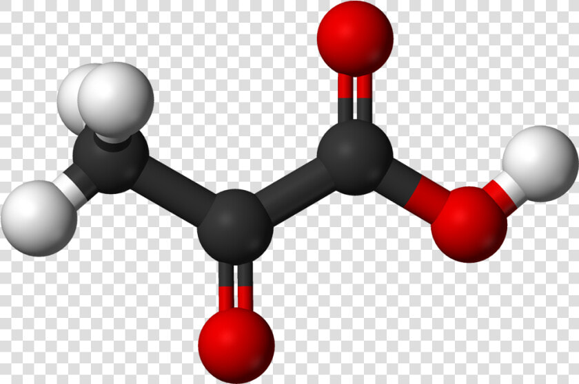 Archivo   Pyruvic Ac   Pyruvic Acids  HD Png DownloadTransparent PNG