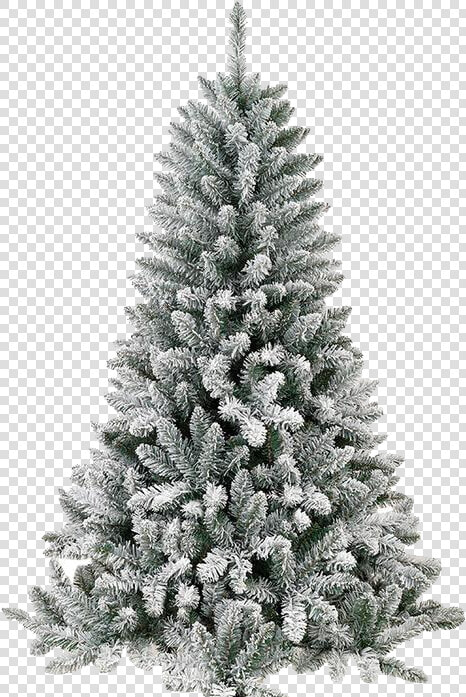 Arvore De Natal Com Neve  HD Png DownloadTransparent PNG