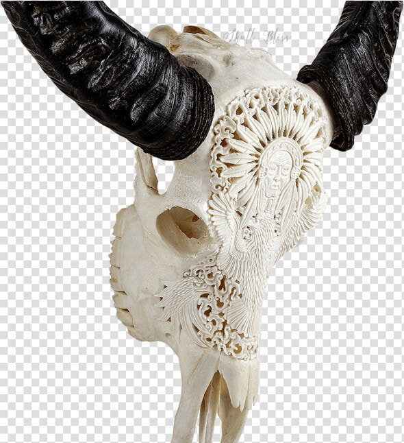 Carved Buffalo Skull   Mandala Skull Carving  HD Png DownloadTransparent PNG