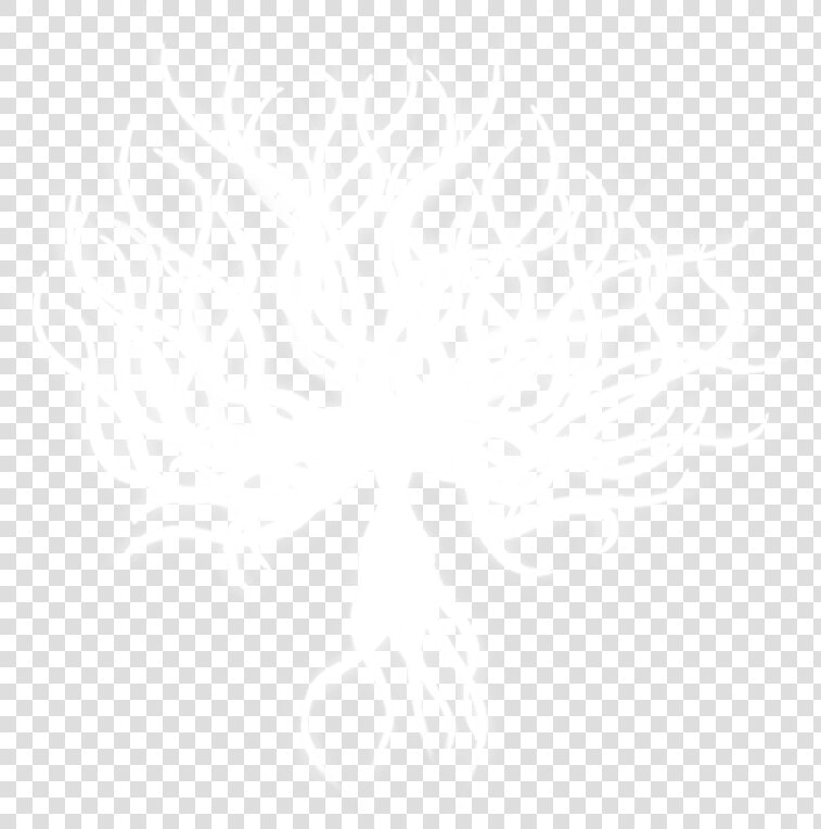 White Lady Full   Hollow Knight White Lady  HD Png DownloadTransparent PNG