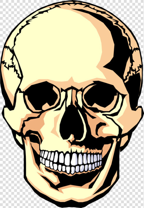 Vector Illustration Of Human Skull Head   Dia De Los Muertos Blank Skull  HD Png DownloadTransparent PNG