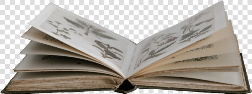  scbook  book  cutout  openbook  book  pages  overlay   Book Png Cut Out  Transparent PngTransparent PNG