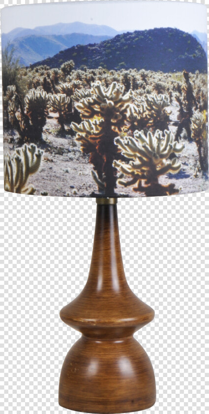 Joshua Tree Png  Transparent PngTransparent PNG