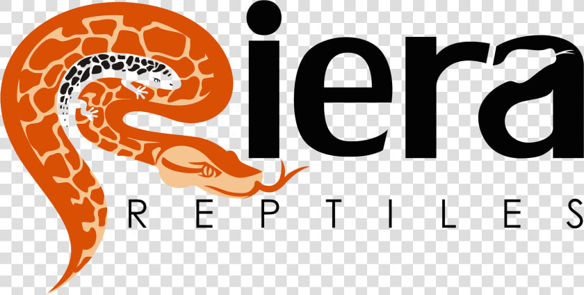 Reptile Breeder Logo  HD Png DownloadTransparent PNG