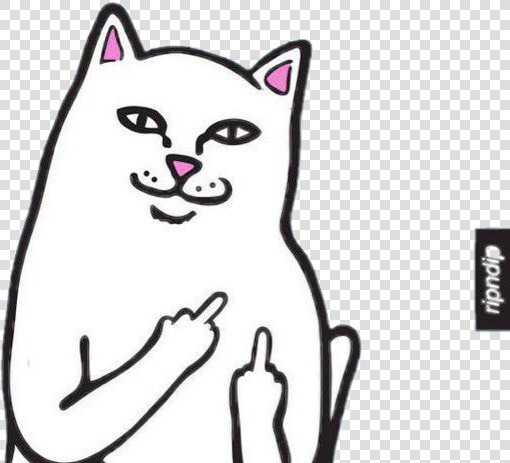  ripndip   Bad Cat Fuck You  HD Png DownloadTransparent PNG