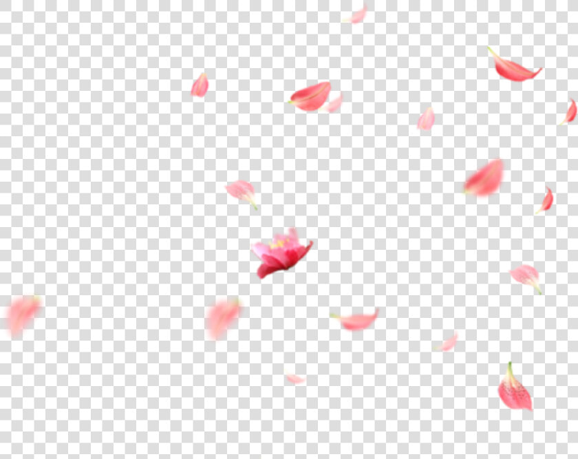 Transparent Falling Flowers Png   Flowers Falling Gif Transparent  Png DownloadTransparent PNG