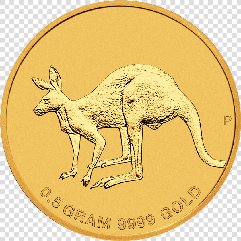 Iaus021902 2   Mini Roo 2019  HD Png DownloadTransparent PNG