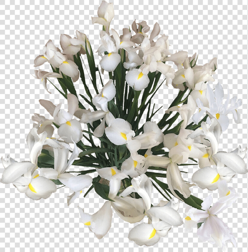 Flowers Online Blue White Wholesale Prices   Bouquet  HD Png DownloadTransparent PNG