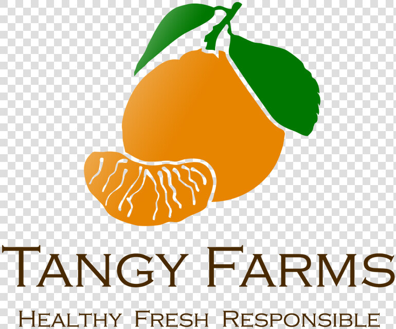 Tangerine  HD Png DownloadTransparent PNG