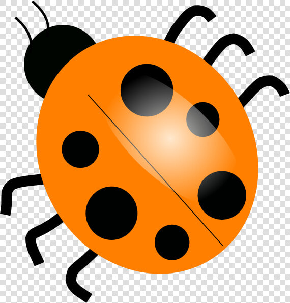 Orange Ladybugs Clip Art At Clipartimage   Ladybug Clip Art  HD Png DownloadTransparent PNG