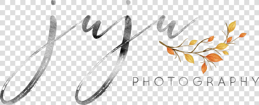 Copyright   Juju Photography   Calligraphy  HD Png DownloadTransparent PNG