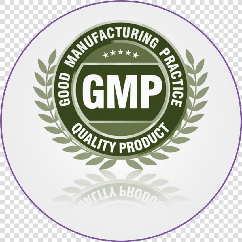 Good Manufacturing Practices Logo   Png Download   Circle  Transparent PngTransparent PNG