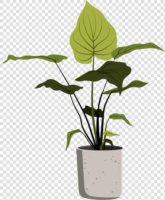 Plants In Pots Sketch  HD Png DownloadTransparent PNG