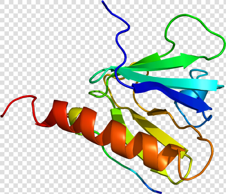 Protein Irs1 Pdb 1irs  HD Png DownloadTransparent PNG