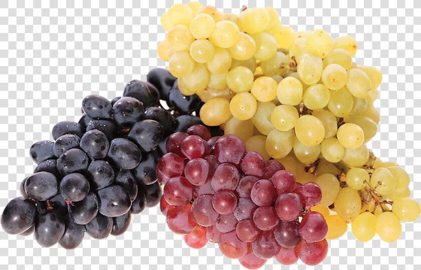 Kisspng Common Grape Vine Juice Wine Berry Red Grape   Полезные Свойства Винограда  Transparent PngTransparent PNG