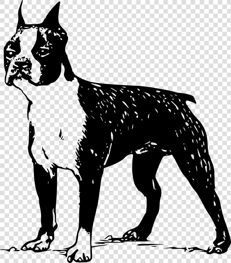 Clipart Boston Terrier Silhouette  HD Png DownloadTransparent PNG