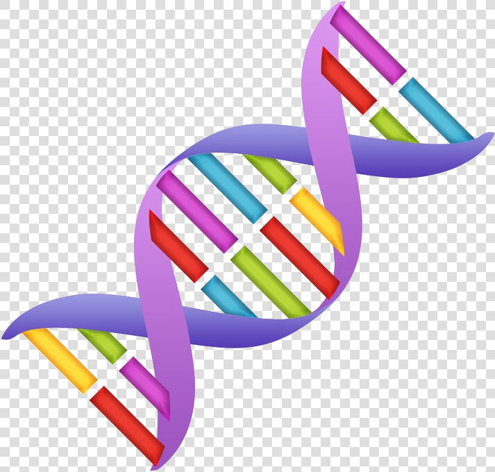 Dna Clipart Nucleic Acid   Png Download   Dna Clipart  Transparent PngTransparent PNG