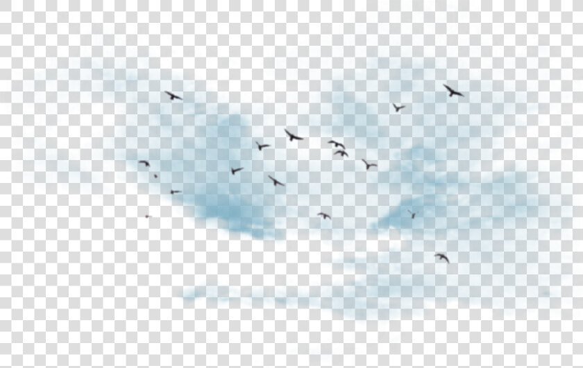 Bird Migration  HD Png DownloadTransparent PNG