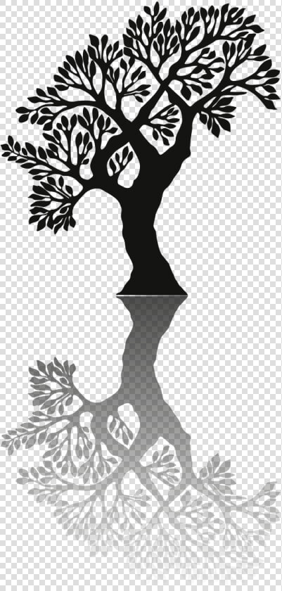 Transparent Tree Shadow Png   Black Shadow Tree  Png DownloadTransparent PNG