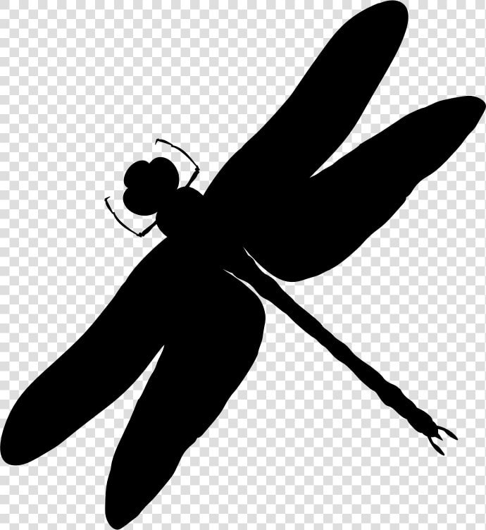 Intricate Dragonfly Silhouette   Black And White Dragonfly Silhouettes  HD Png DownloadTransparent PNG