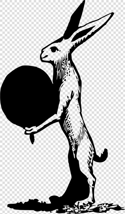 Hare Clipart  HD Png DownloadTransparent PNG