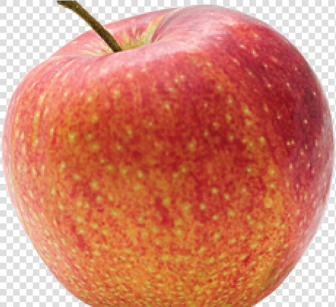 Pomme Bicolore  HD Png DownloadTransparent PNG