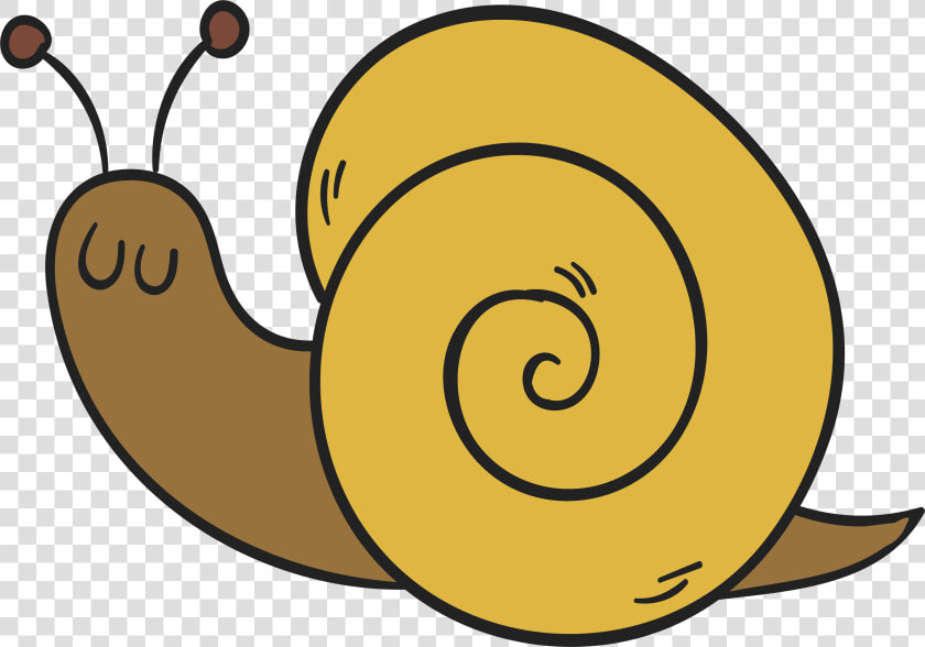 Transparent Snail Png   Snail Drawing Transparent Background  Png DownloadTransparent PNG