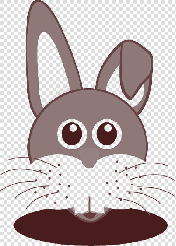 Bunny  Rabbit  Easter  Hare  Rodent  Teeth  Ears   Free Download Rabbit Vector  HD Png DownloadTransparent PNG