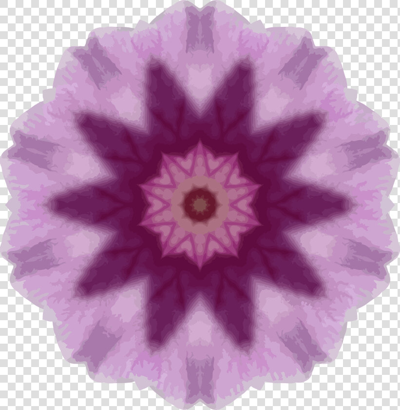 Orchid Kaleidoscope 14 Clip Arts   Ball Of Whacks Turtle  HD Png DownloadTransparent PNG