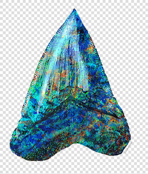 Blue Shark Tooth Art By Sharon Cummings  HD Png DownloadTransparent PNG