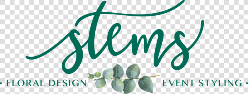 Stems Logo Final  HD Png DownloadTransparent PNG