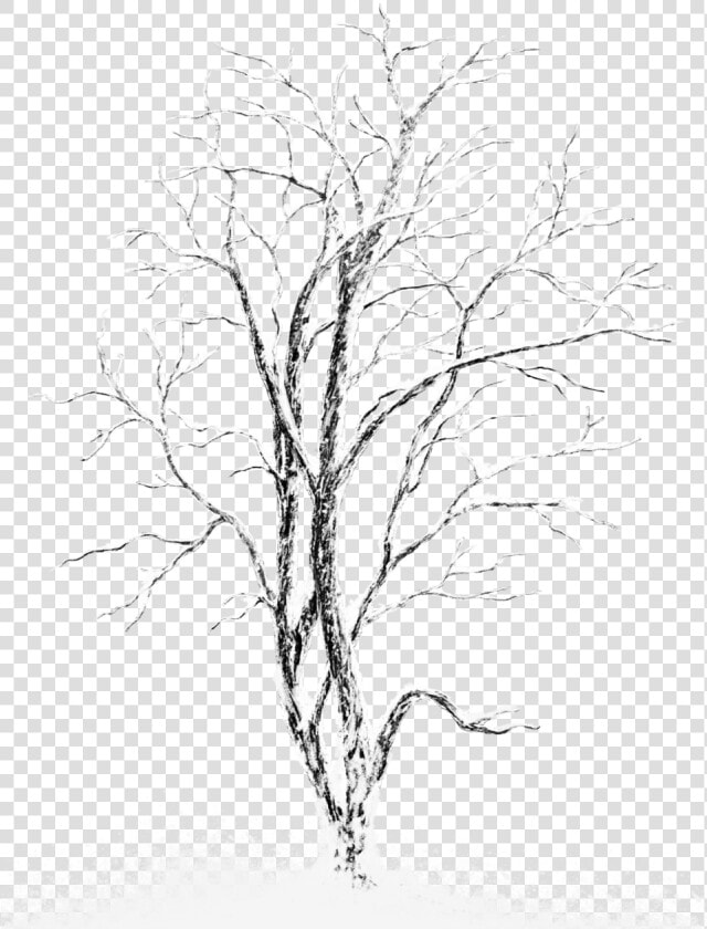 Transparent Snowy Landscape Clipart   Tree With Snow On It Transparent  HD Png DownloadTransparent PNG