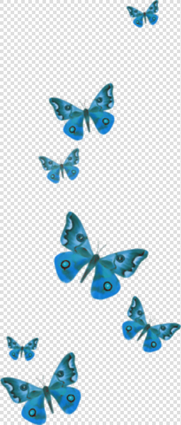 Popular And Trending Butterfly Stickers On Picsart   Picsart Butterfly Stickers  HD Png DownloadTransparent PNG