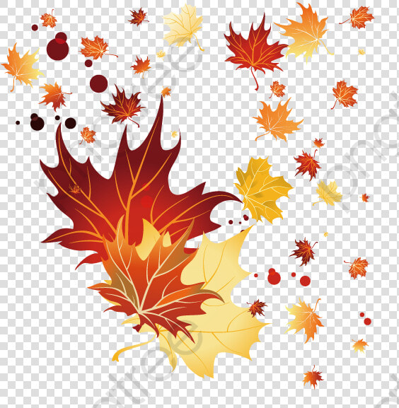 Fall Leaves Clipart Vector   Autumn Leaves Falling Designs  HD Png DownloadTransparent PNG