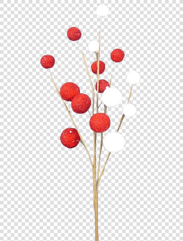 16   Twig  HD Png DownloadTransparent PNG