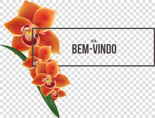 Orchids Of The Philippines  HD Png DownloadTransparent PNG