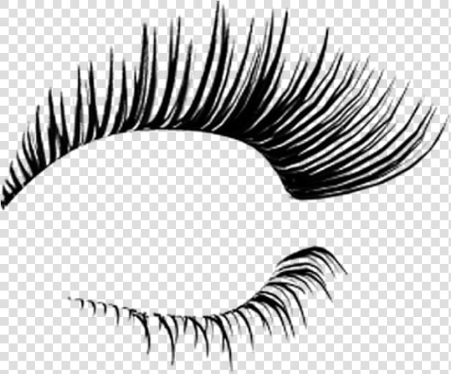  eyelash   Transparent Eyelashes  HD Png DownloadTransparent PNG