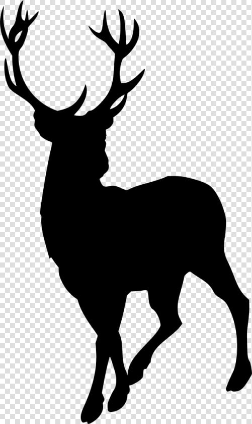 Silhouette Of A Stag  HD Png DownloadTransparent PNG