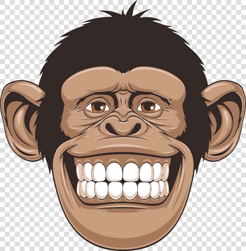 Chimp Drawing Monkey  HD Png DownloadTransparent PNG