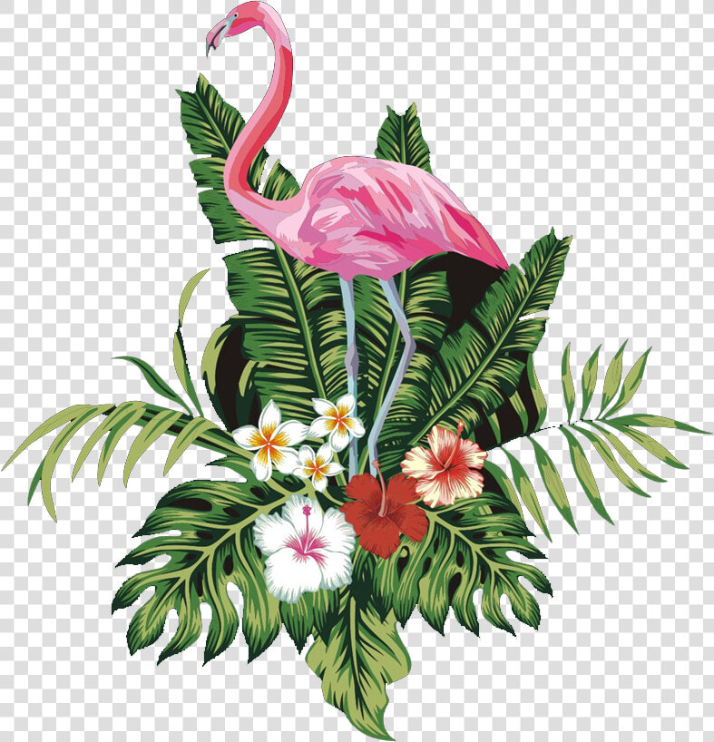 Transparent Flamingo Clipart   Png Transparent Flamingo Png  Png DownloadTransparent PNG